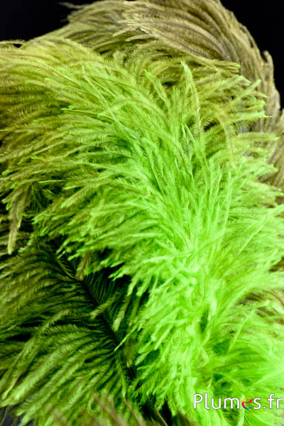 Autruche - 30-40 cm - gris naturel-lime